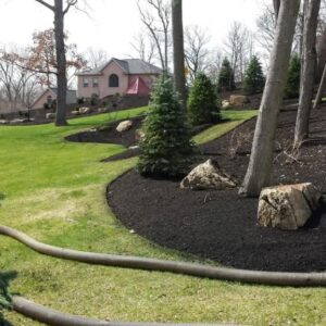 land-management-11