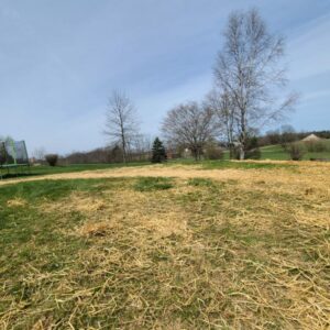 land-management-16